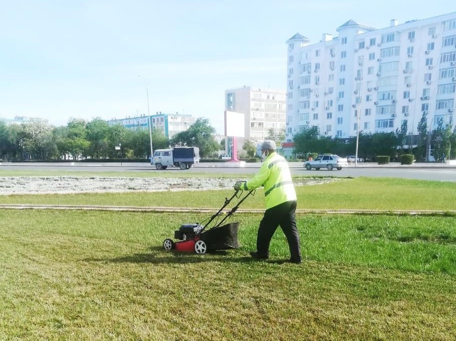Ақтауда 50 мың шаршы метр аумаққа көгал отырғызылады