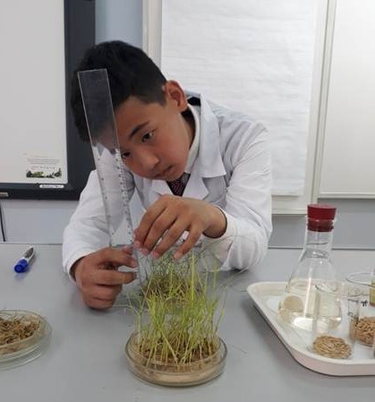 Қызылордалық оқушы халықаралық сайыста екінші орын иеленді