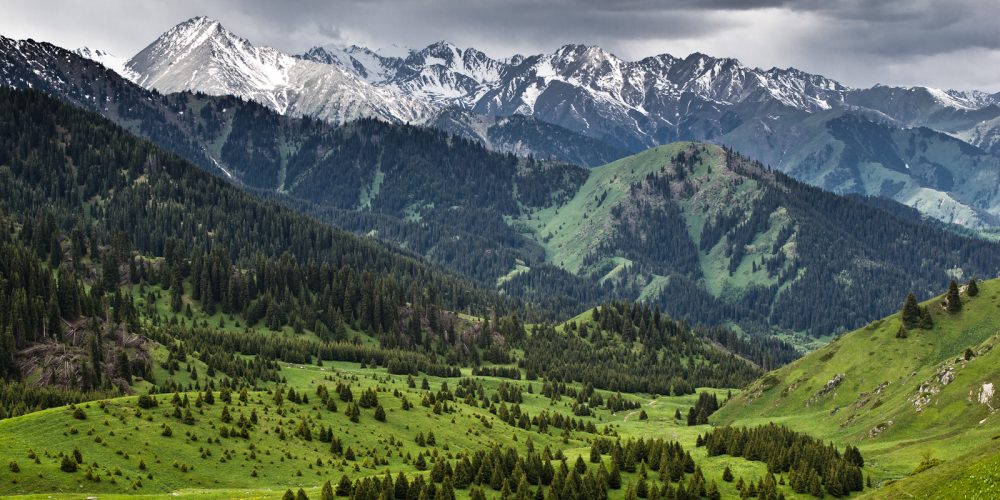 Алматыда «Бақыт Соқпақтары» жобасының тұсауы кесілді