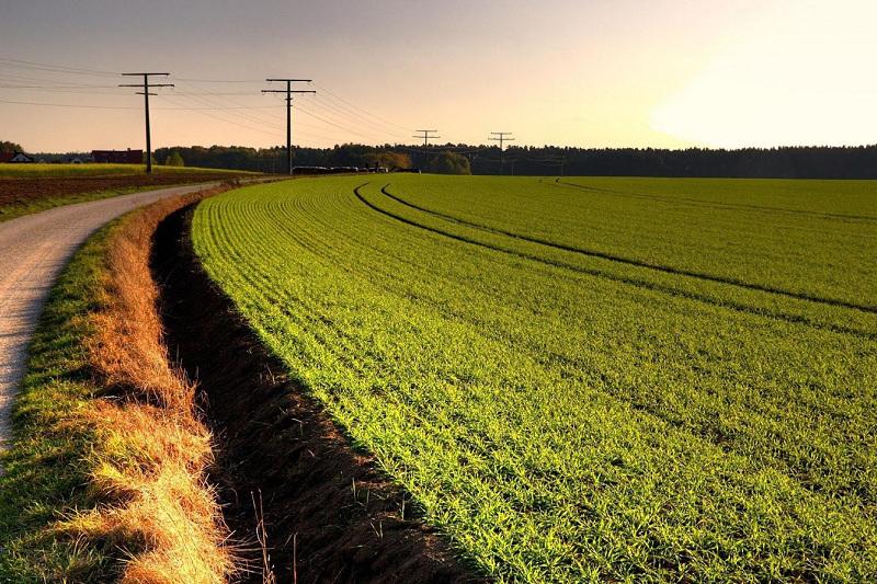 Ақмолада 898 мың гектар жер айналымға енгізілді