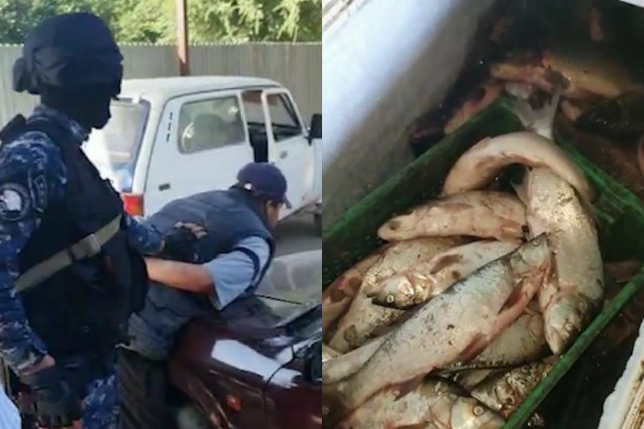 Түркістан: Заңсыз балық аулаған қылмыстық топ ұсталды