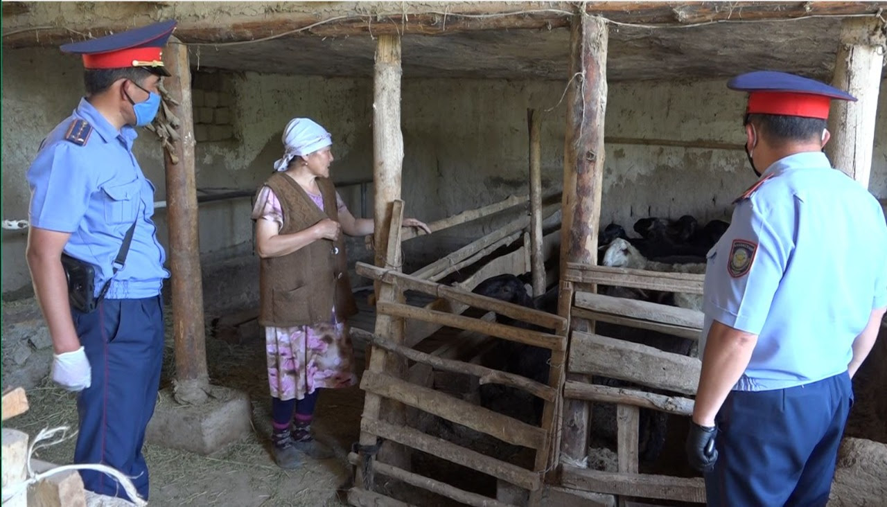 Екі қылмыстық топ ұсталды