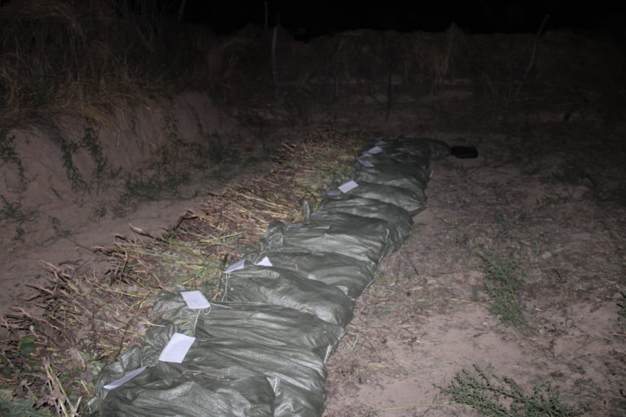 Түркістан облысының полицейлері 205 келіден астам көкнәр тәркіледі