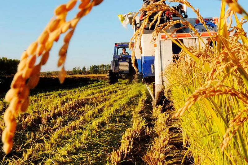 Егіс алқаптарын әртараптандыру фермерлерді оқытудан басталуы керек