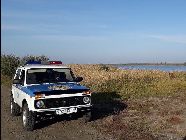 СҚО полицейлері табиғатты қорғау заңнамасының 443 бұзушылығын анықтады