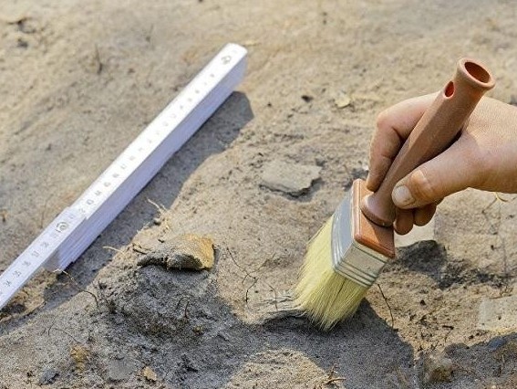 Солтүстік Қазақстан облысында қазба жұмыстары жалғасады