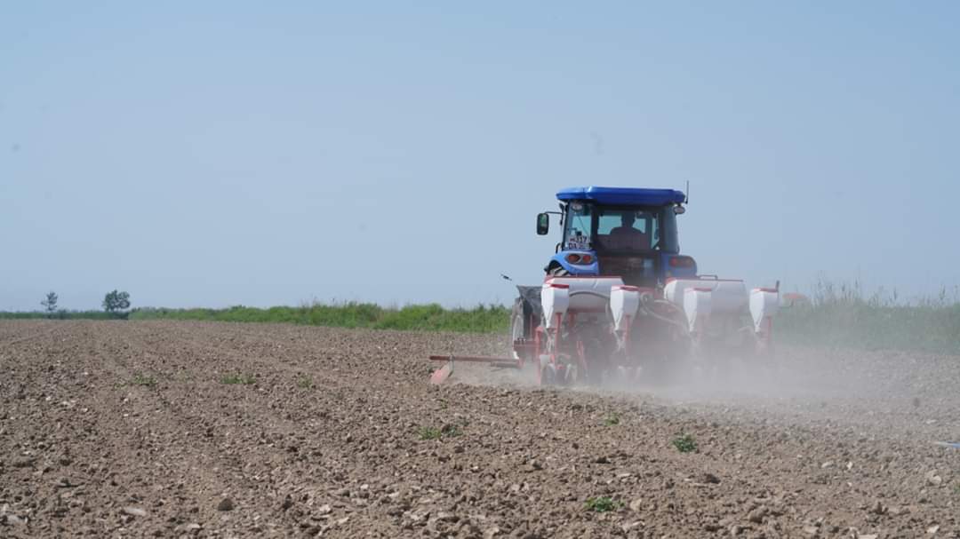 Мақтааралдағы зақымданған жерлердің 50 пайыздан астамы қалпына келтірілді