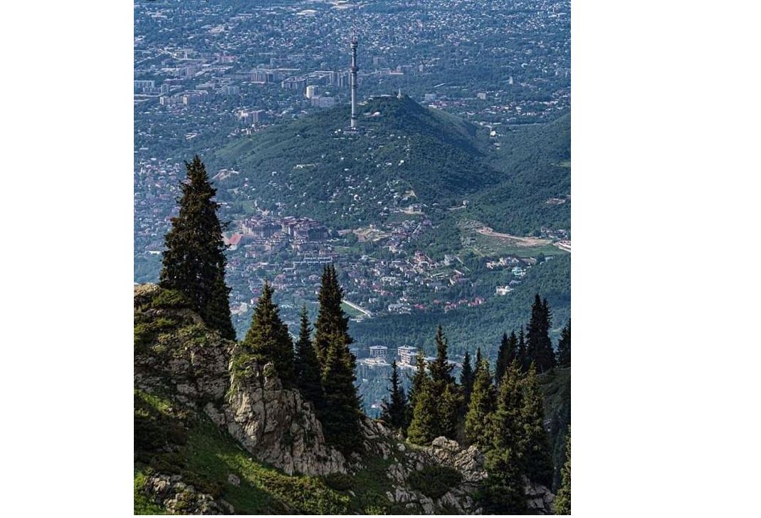 Жасыл желек саясындағы шаһар