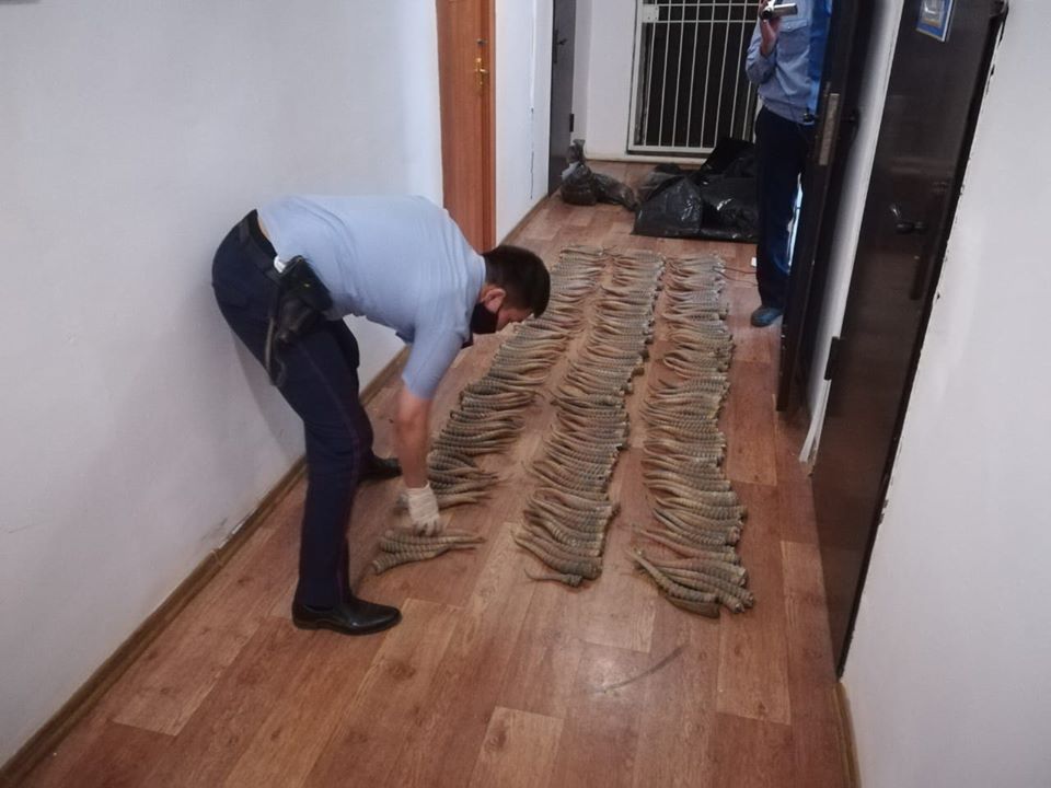 "Бөкей Орда" резерваты қашан ашылады?