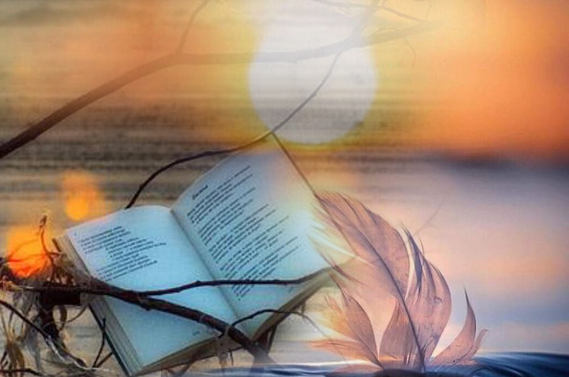 Сіз – Өлеңсіз!