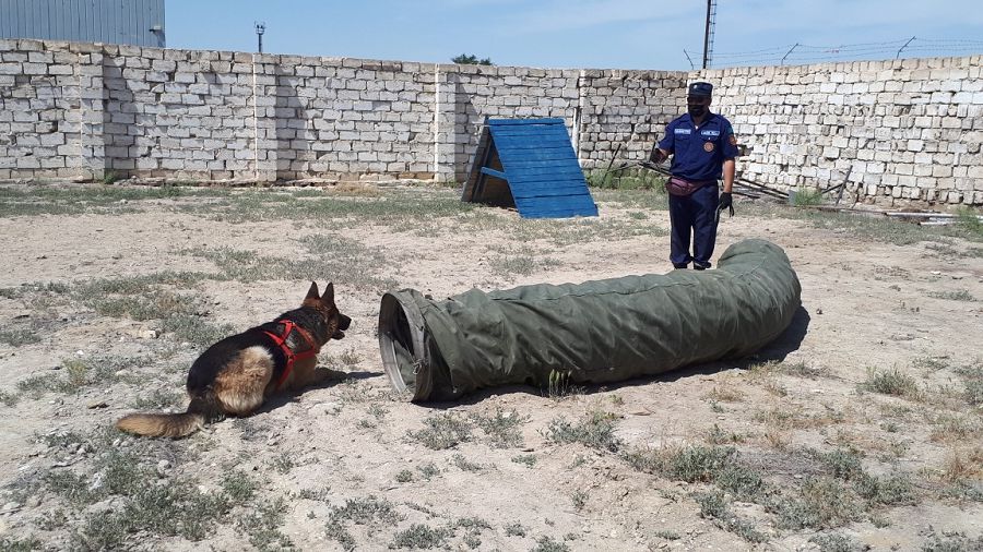 «Гермес» және «Рей» сынақтан сәтті өтті