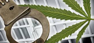 Қызылордада есірткі құқық бұзушылығының 64 дерегі анықталды