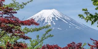 Жапония шетелдіктерге виза беруді уақытша тоқтатты