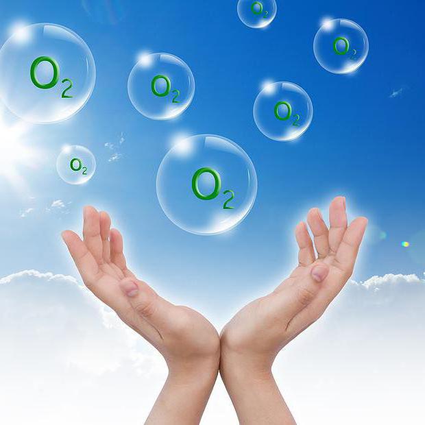 Оттегі өндіретін  цех салынады