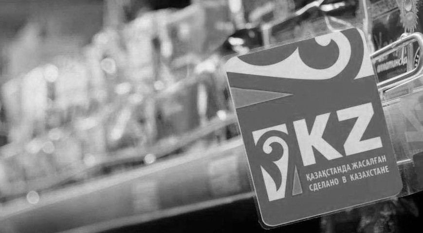 “Қарапайым заттар экономикасы” жобасының қаржысы қайда бөлінген?