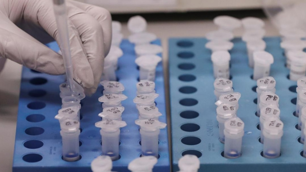 ДДСҰ індетке шалдығушылардың жаңа рекордтық көрсеткішін тіркеді