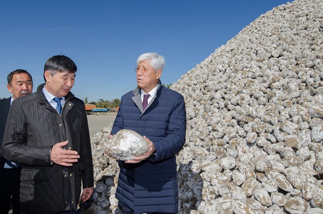 Жарқын бейне