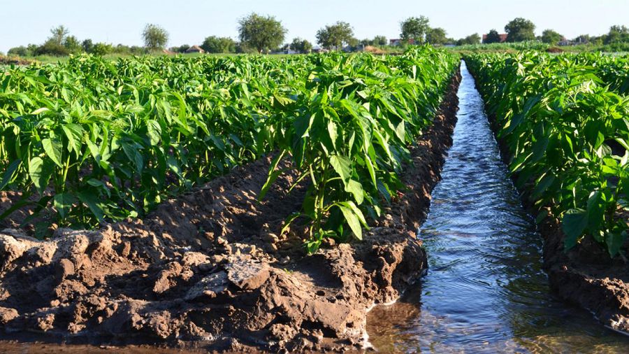 Суармалы жерлерді сумен қамти аламыз ба?