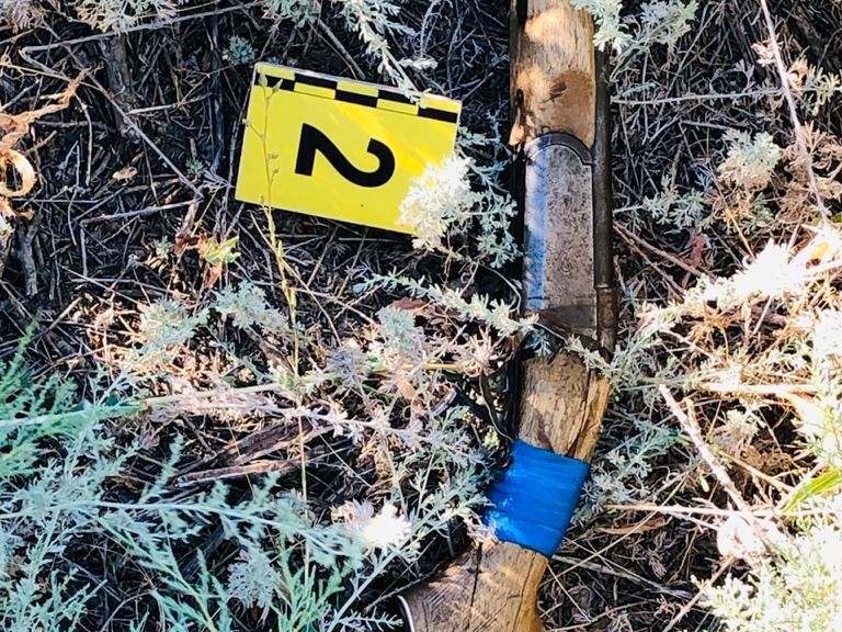 Қостанай облысында браконьер ұсталды