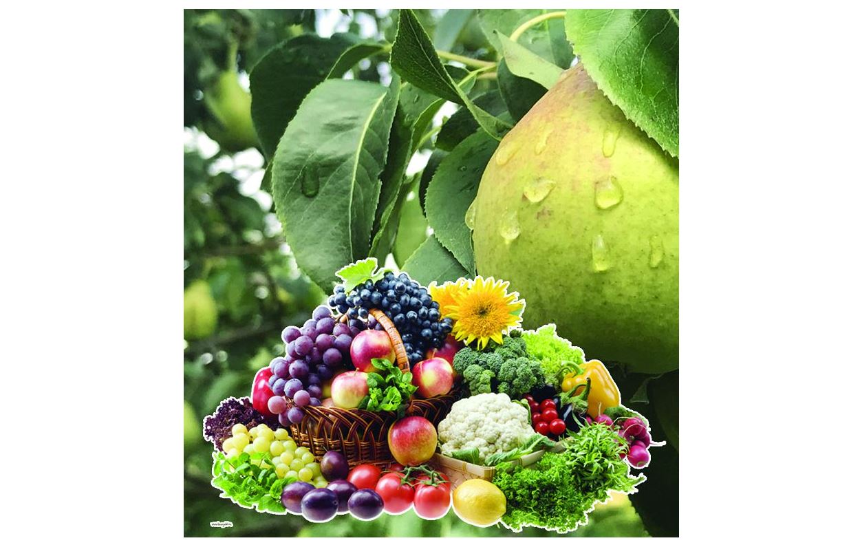 Иммунитетті көтеретін өнімдер