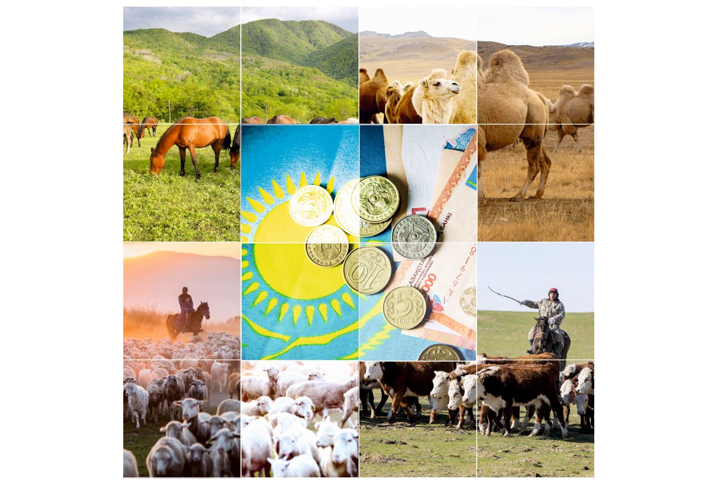 Ата кәсіп оңалмай, ауыл көші түзелмейді