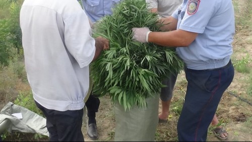 Сора еккен тұрғын тергелуде