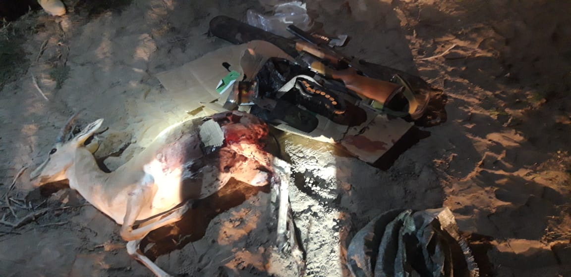 Қарақұйрық атқан браконьер ұсталды