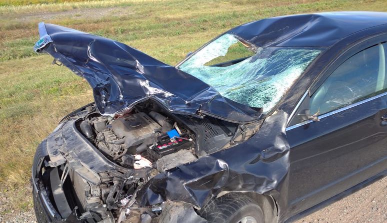 Мейірім - жүрек жылытады...