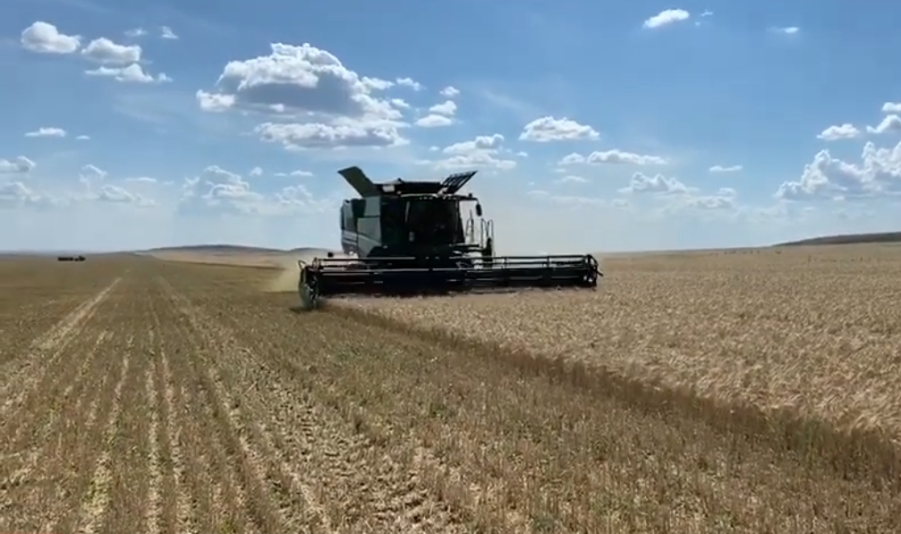 Қарағанды облысы экспортқа 700 тонна тритикале жөнелтті