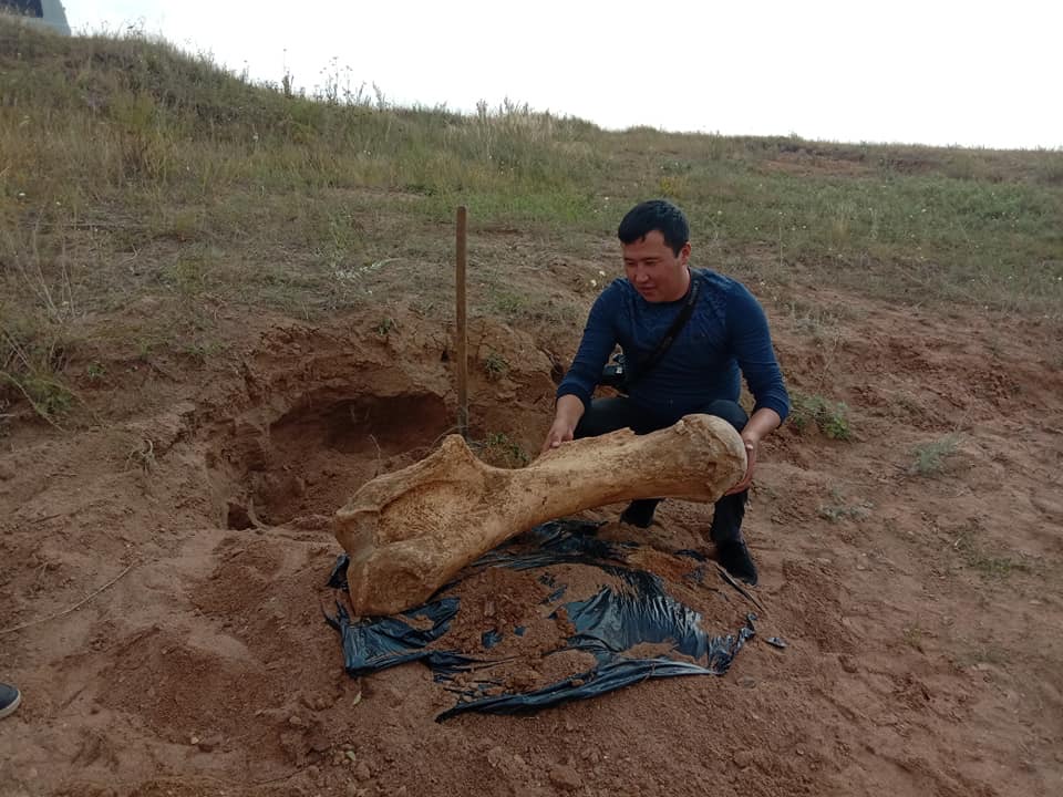 Бұландыдан зілдің жілігі табылды
