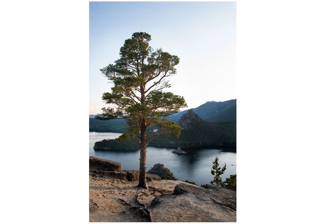 Қашқын таудың қойнауындағы қазына