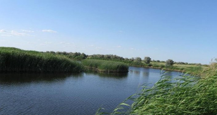 Нұралықтардың нәсібі мол