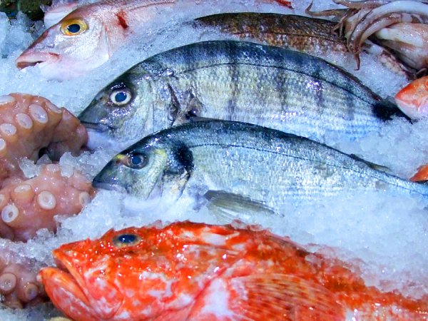 Балық шаруашылығын қолдау маңызды