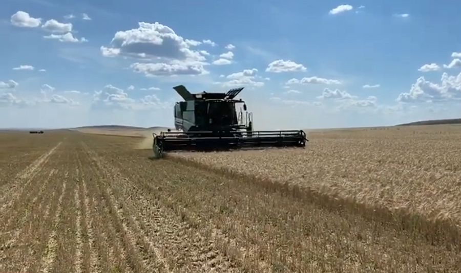 Қырманда – қызу еңбек