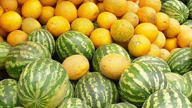 Мақтааралдық шаруалар қауын және қарбыз өнімдерін шетелге экспорттауда