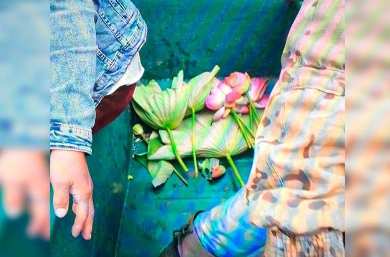 Атырауда селфи үшін лотос гүлін жұлып алған тұрғын жазаланады