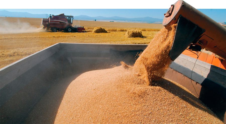 Ырыздық ысырап болмайды