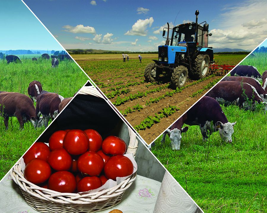 Кооператив: іріленгеннің ісі ірі болады