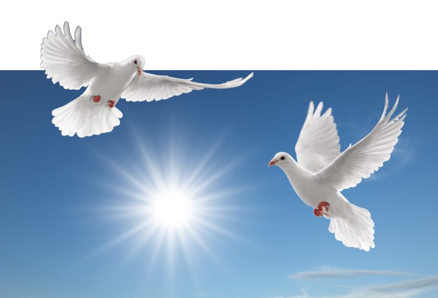 Қатерлі жарыс қайта басталды ма?