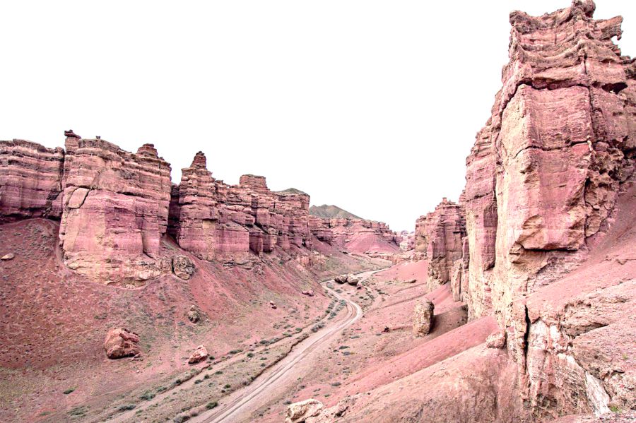 Браконьерлер тұтылды