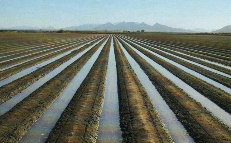 Мемлекет басшысы егін шаруашылығындағы суару жүйесін сынға алды