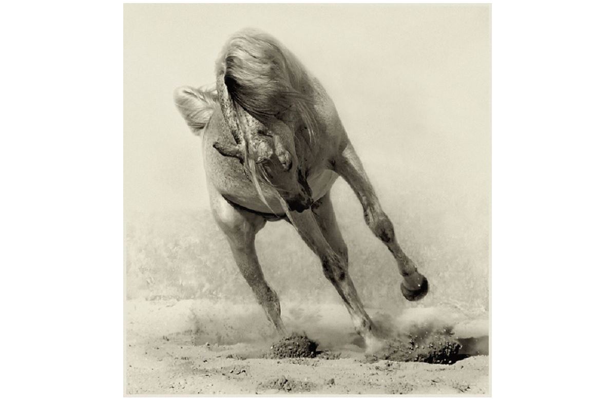 Атбегілік – асыл өнер