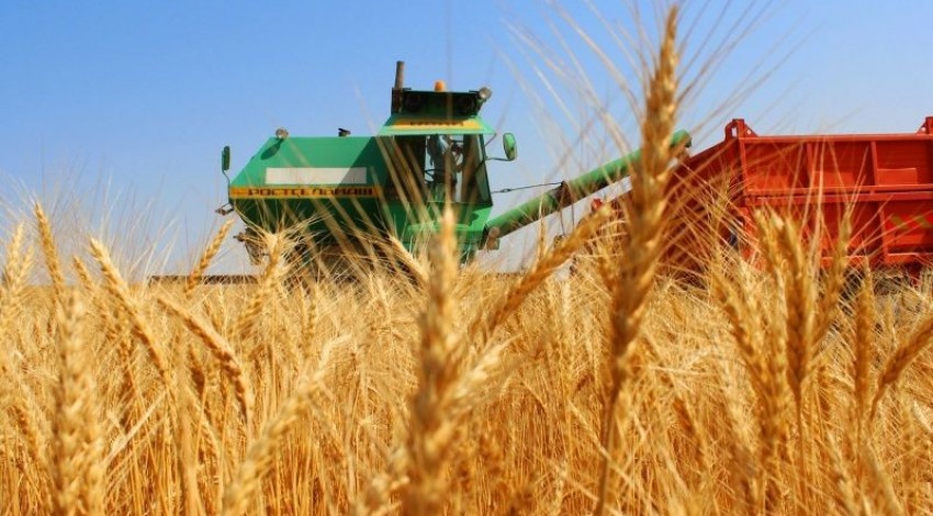 Астықты алқаптардағы еңбек дүбірі