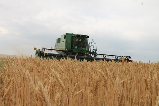 Дала кемелерінде дамыл жоқ