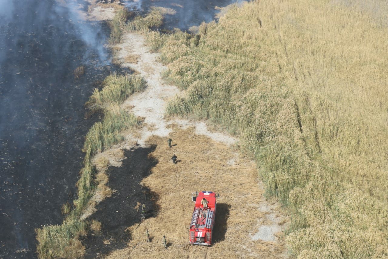 Атырау облысында қамыстан тұтанған өрт ауыздықталды