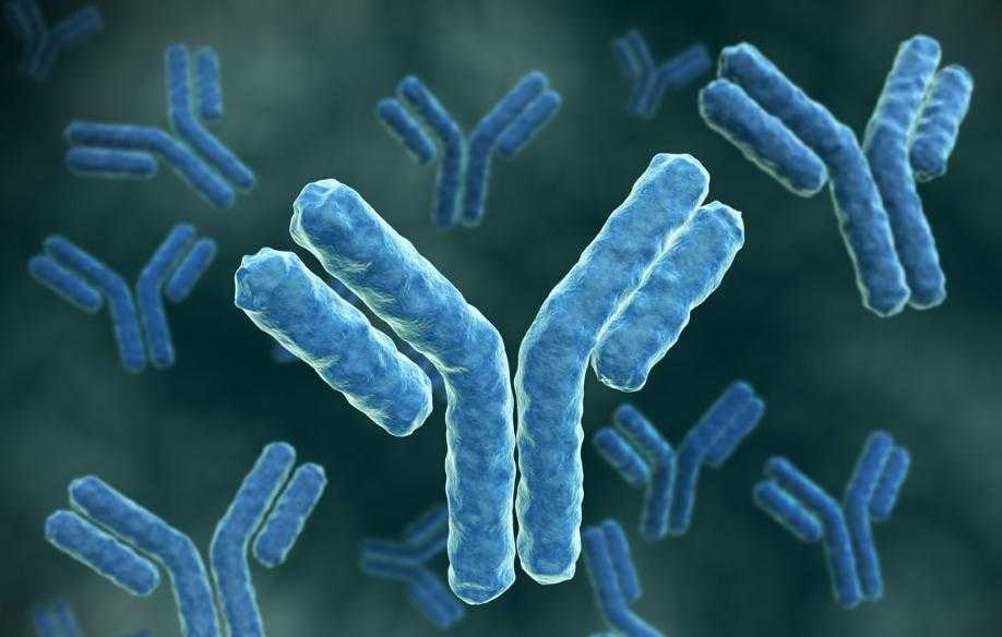 Франция антиденені тез анықтайтын тест енгізбекші