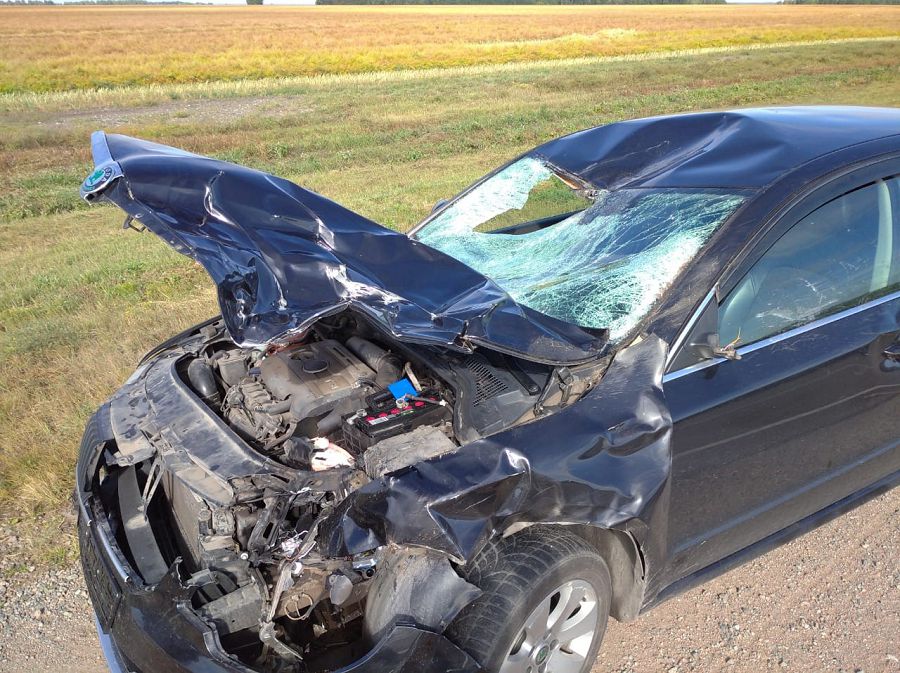 Жанашыр жандар көмекке келді