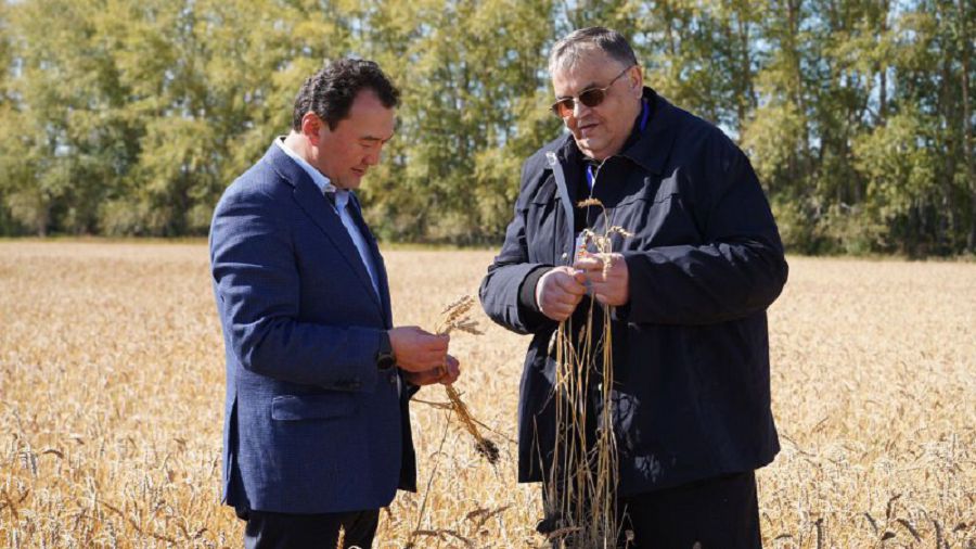 Шарапатпен шырайланған Зеренді