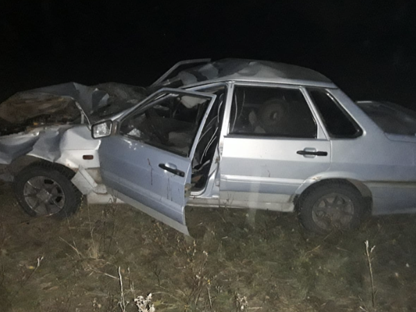 Жол-көлік оқиғасына жануарлар себепші болды