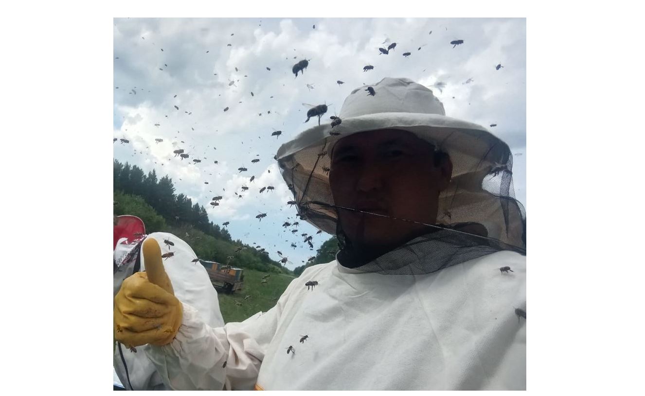 Ара бағуға ден қойған ақын